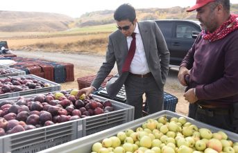 Ahlat elması yurt dışı pazarında