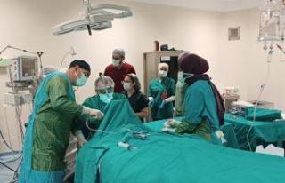 Ahlat Devlet Hastanesi'nde ilk kez bademcik ameliyatı...